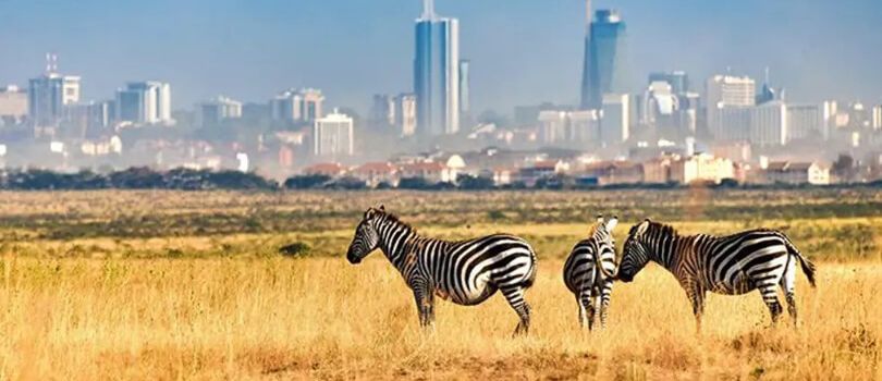 Wildlife Safari at Nairobi National Park