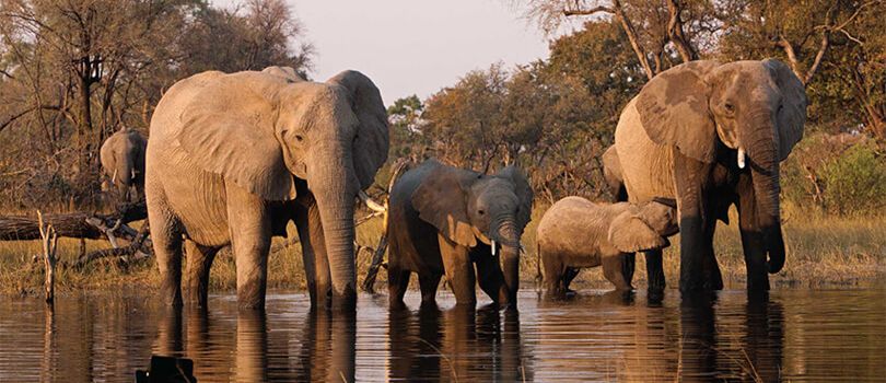 Marsabit National Park