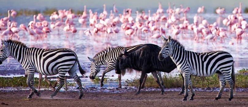 Lake Nakuru National Park