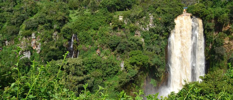 Aberdare National Park