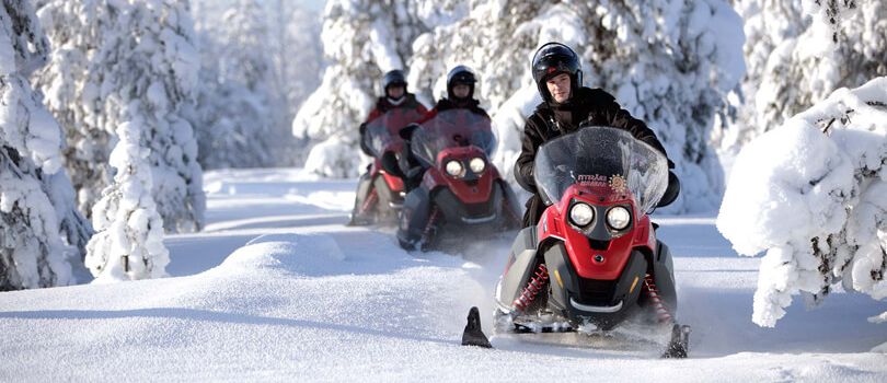 Snowmobile Safari