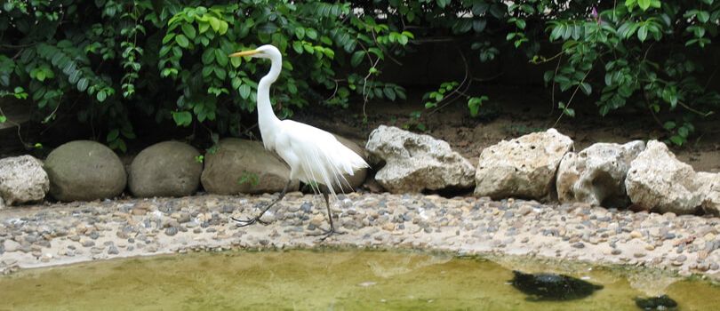 Barranquilla Zoo