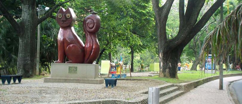 Parque de los Gatos