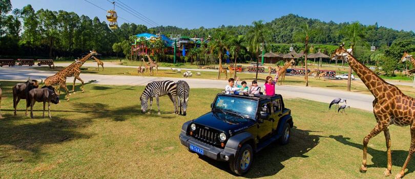 Chimelong Safari Park