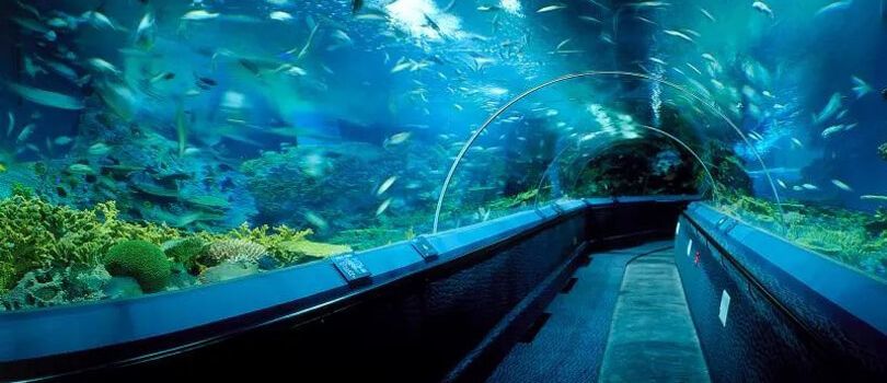 Shanghai Ocean Aquarium