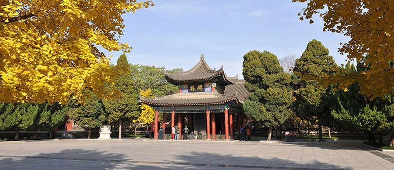 Forest of Stone Steles