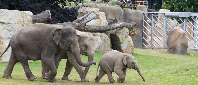 Prague Zoo