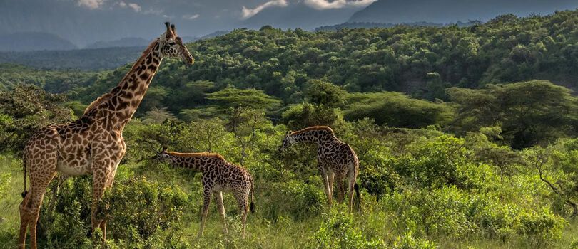 Serengeti National Park