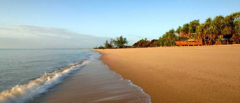 Saadani National Park