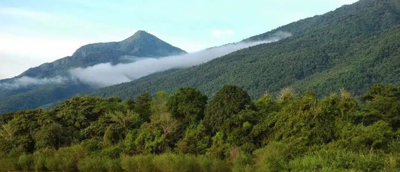Gombe Stream National Park