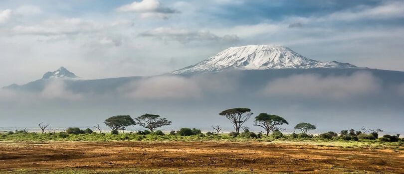 Long Walking Safaris