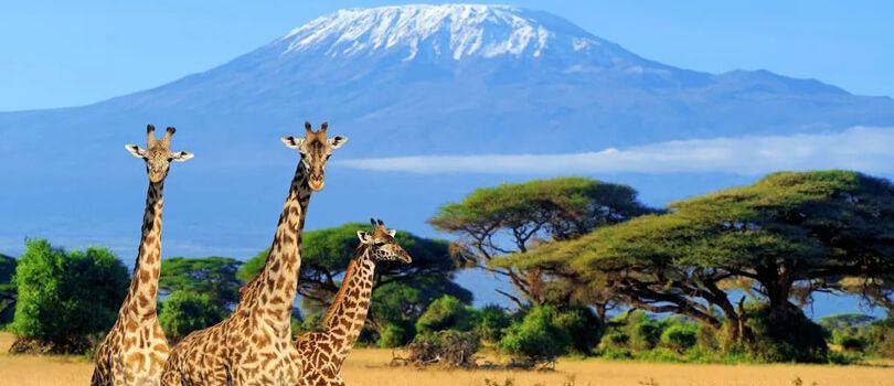 Nature Walking Safaris