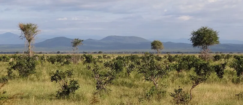 Mikumi National Park