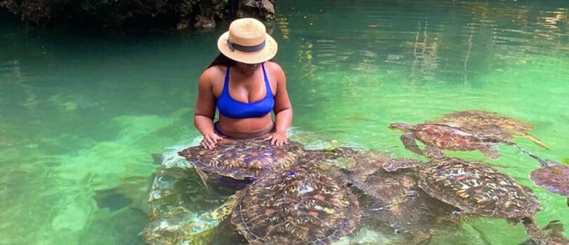 Mnarani Marine Turtles Conservation Pond