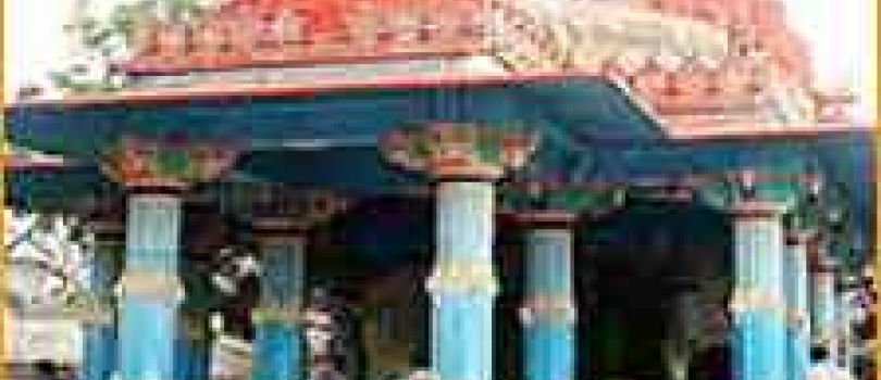 Rajasthan Tour