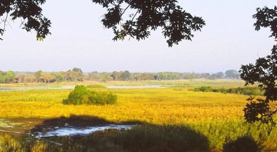 Wildlife in Zambia