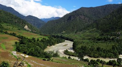 Wildlife in Bhutan