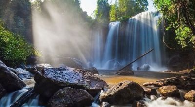 Wildlife in Cambodia