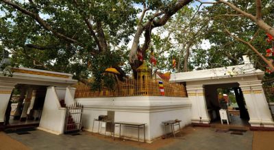 Anuradhapura