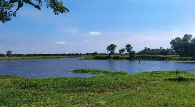 Jorhat