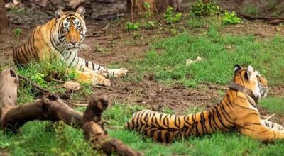 Champaran Travel Guide