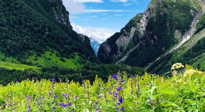 Auli Travel Guide