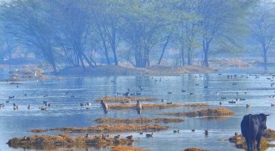 Rewari Travel Guide