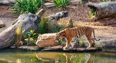 South 24 Parganas Travel Guide