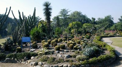 Tourist Places in Chandigarh