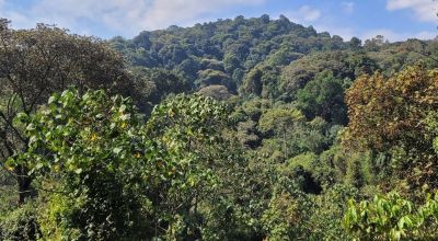 Muramvya Travel Guide