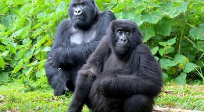 Fort Portal Travel Guide