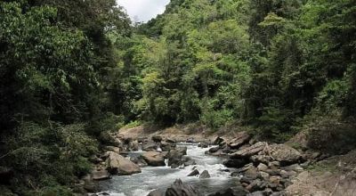 Wildlife in Honduras