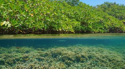 Abaco Islands