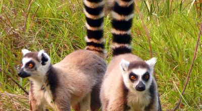 Northeast Madagascar