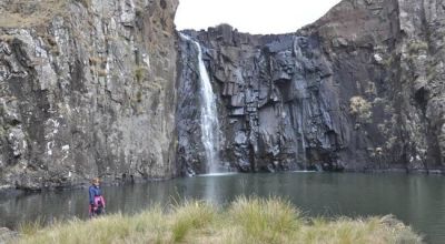 Wildlife in Lesotho