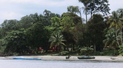 Wildlife in Gabon