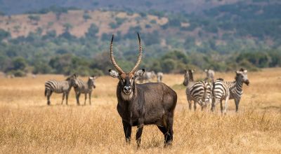 Eastern-Rwanda