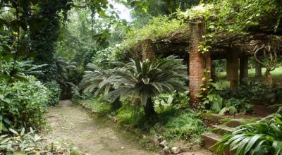Hill Stations Tour in Congo