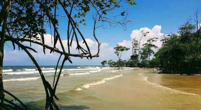 Barra Velha