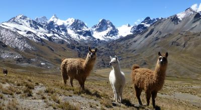 La Paz