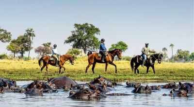 Okavango Delta Travel Guide