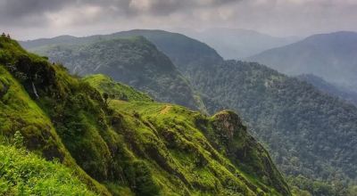 Periyar Travel Guide