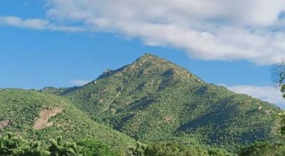 Tiruvannamalai Travel Guide