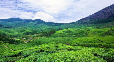 Munnar