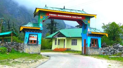 Lachung Travel Guide