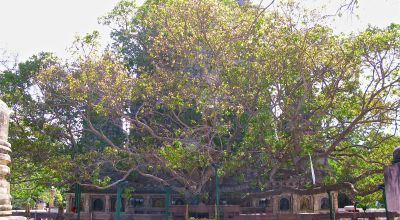 Tourist Places in Bihar