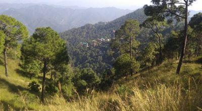 Kasauli