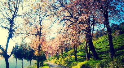 Namchi Travel Guide