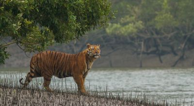 South 24 Parganas Travel Guide