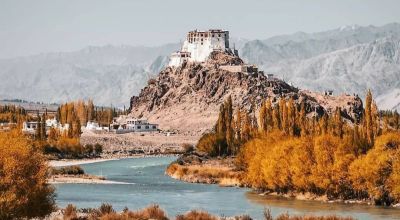 Shey Travel Guide